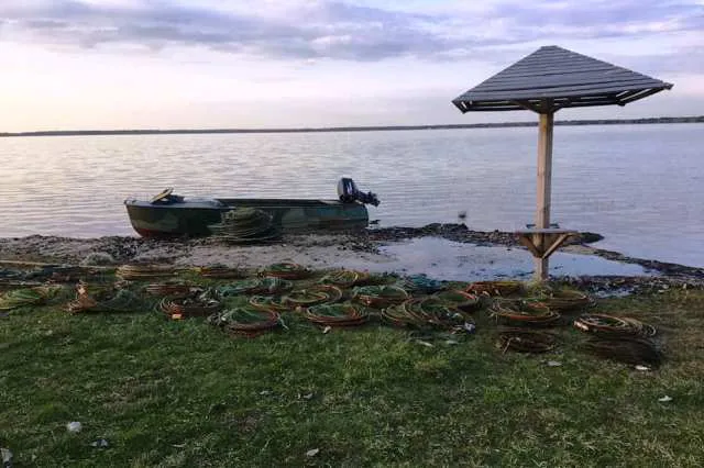 Волинські екоінспектори передали ЗСУ 55 кілограмів риби зі Світязя (фото, відео)