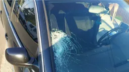 У Світязі водій легковика наїхав на пішохода, втік і напився