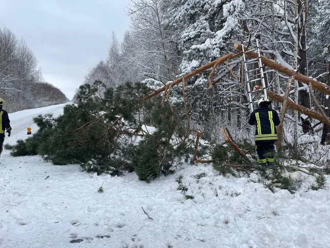 Повалені дерева, автобуси у кучугурах: вночі на Волині вирувала негода (фото)