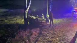 Авто злетіло у кювет, в салоні затисло дівчину: у Торчині – смертельна ДТП (фото)