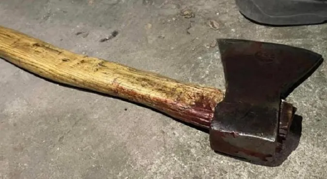 Убив сокирою, бо не дали випивки: подробиці подвійного вбивства у Луцькому районі (відео)