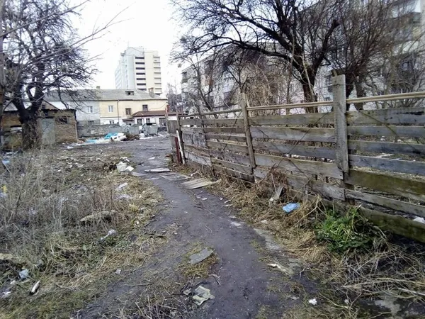 Кошмари на вулиці Рівненській: у Луцьку мішками рубають курей (фото)