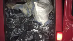 На Волині затримали авто майже з трьома тоннами м'яса (фото, відео)