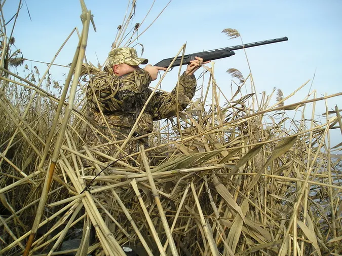 На Волині браконьєри застрелили червонокнижних зубра, оленя та лося