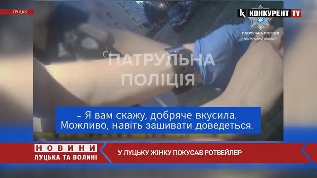 Захищала свого песика: у Луцьку жінку покусав ротвейлер (відео)