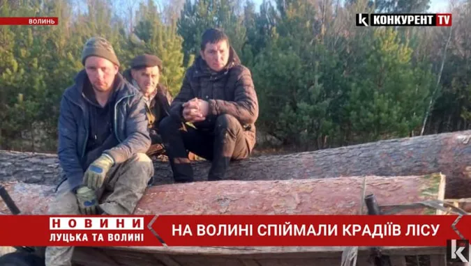 Завдали збитків на 30 000 грн: на Волині затримали крадіїв лісу (відео)