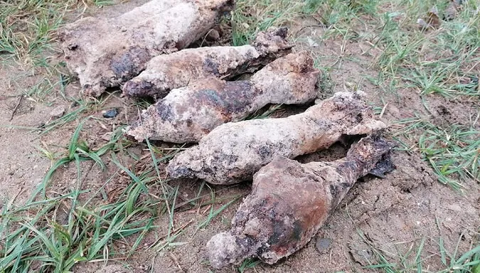 Іржава небезпека: на Волині знайшли міни часів минулої війни (фото)
