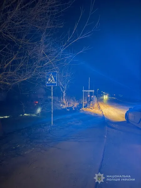На Волині п’яний водій злетів у кювет і врізався в дерево: травмувалась жінка (фото)