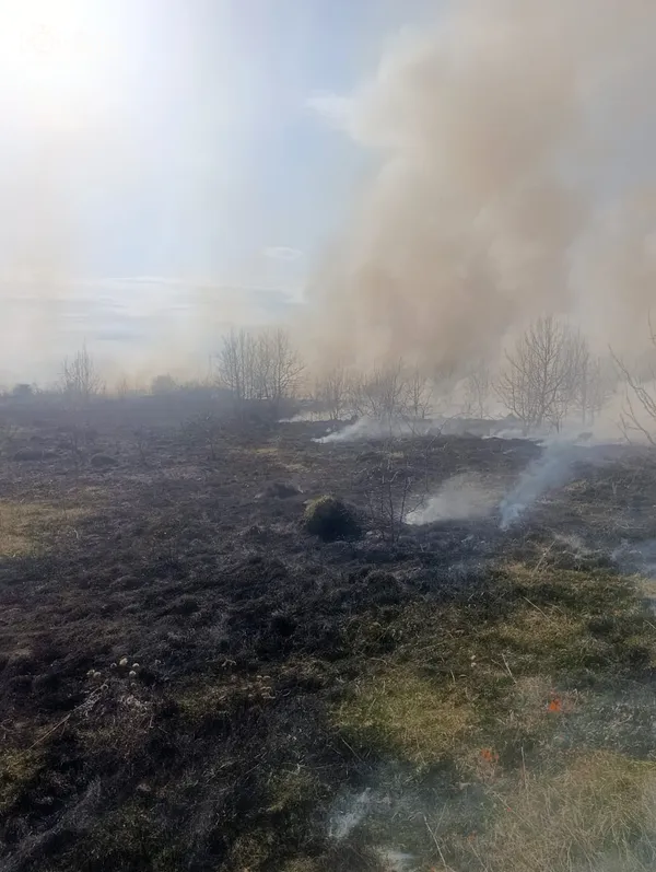 Палав очерет, торф і сміття: на Волині пожежі знищили 8 гектарів території