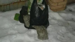 Муніципали вкотре зловили лучан, які викидають сміття на узбіччя  