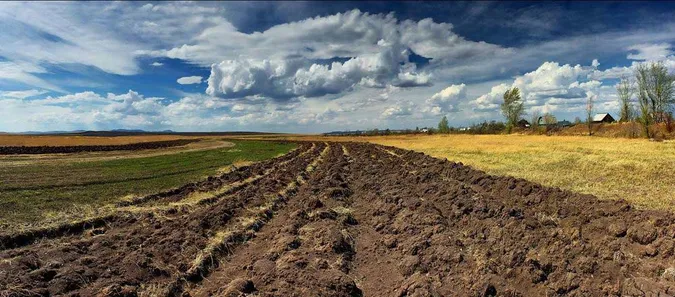 Під Луцьком з незаконного користування вилучили земель на 18 мільйонів