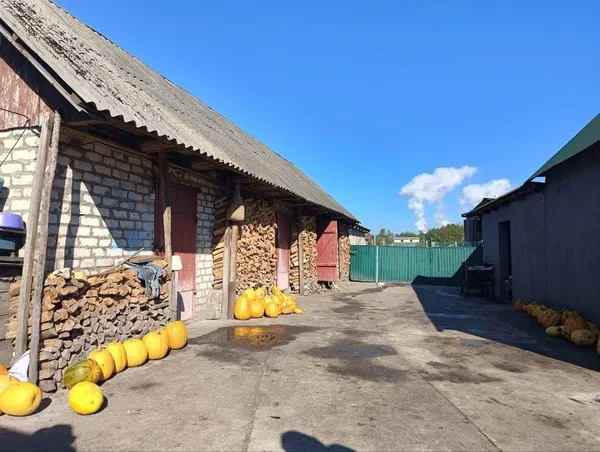 Як у громаді на Волині без газу опалюють село у холоди (фото)
