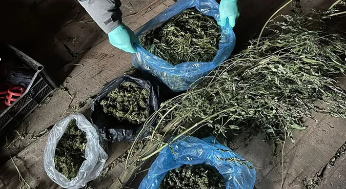 Півтора кіло конопель: у Володимирі затримали наркоторговців (фото)