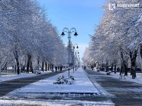 Вона чекає на вас морозного ранку у Луцькому парку (фото)
