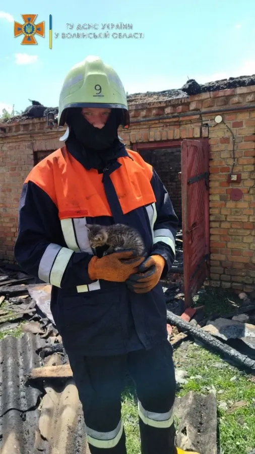Врятували порося і кошеня: на Волині горіла господарська споруда:  (фото)