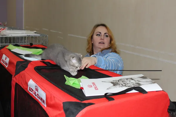 До слова під час виставки можна було навіть придбати породистого котика
