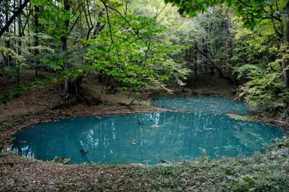 Серед могутніх буків на Поділлі причаїлось глибоченне синє озеро, з дна якого б'ють джерела (фото)