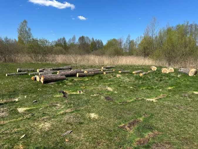 Не встигли вивезти: на Волині накрили незаконну вирубку (фото)