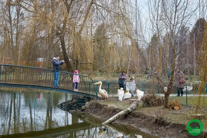 За 8 березня луцький звіринець відвідали понад 4 тисячі жінок (ФОТО)