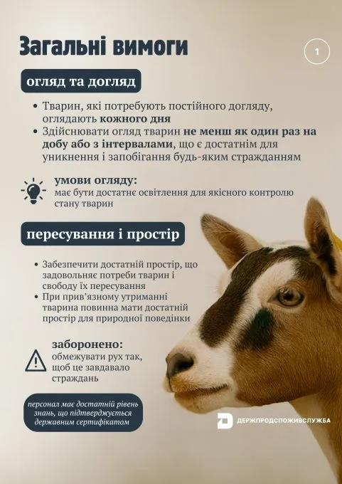 В Україні з 1 січня діятимуть євровимоги до утримання сільськогосподарських тварин