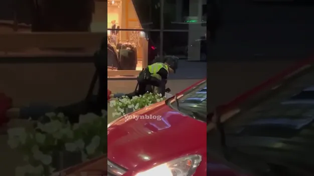 У Луцьку п'яні молодики побилися з охороною ТРЦ ПортCity (відео 18+)