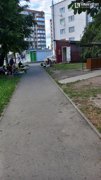 У Луцьку продавці городини ігнорують прилавки і торгують на землі (фото)