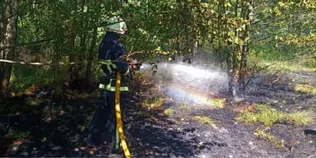 Дві пожежі за день: на Волині вигоріло майже 2 гектари сухостою (фото)