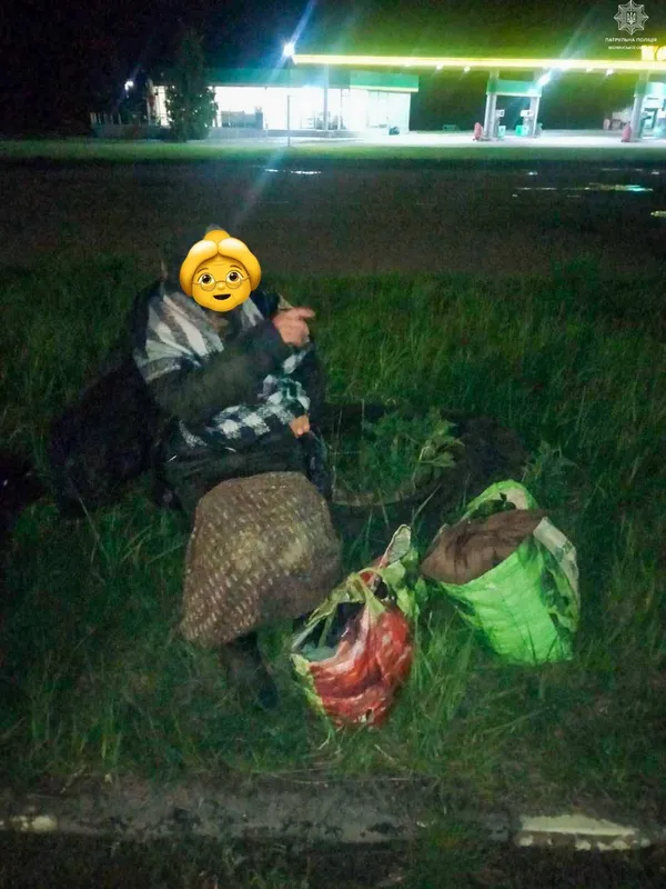 На Волині 82-річна бабуся поїхала в ліс збирати траву та заблукала
