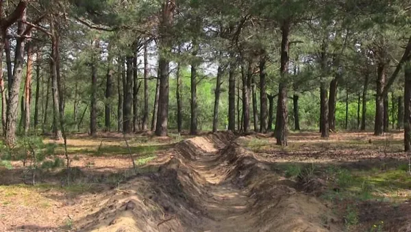 Як на Волині захищають ліси від пожеж (фото)