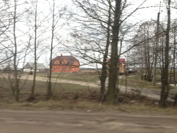 «Бурштиновий клондайк» на Волині: зруйнована залізниця та болотиста пустка замість лісів