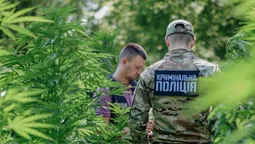 На Волині виготовляли печиво з наркотиками (фото)