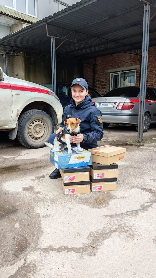 Популярний пес Патрон отримав передачу від луцьких волонтерів (фото, відео)