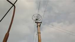 У Журавниках енергетики змайстрували лелекам каркас для гнізда (фото)