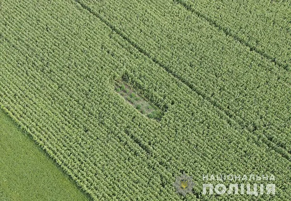 На Волині в ході спецоперації затримали групу наркоторговців (фото)