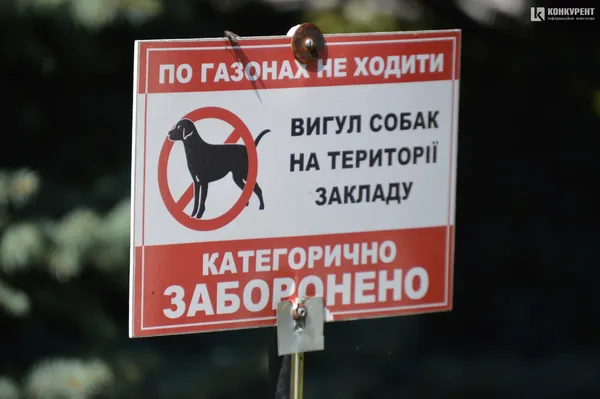 Партнерські пологи та вартість палат: як народжують у Луцьку