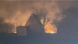На Волині вночі ледь не згорів дачний масив (фото)