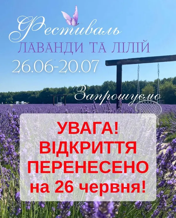 Фестиваль «Волинська Лавандія» перенесли: у чому причина