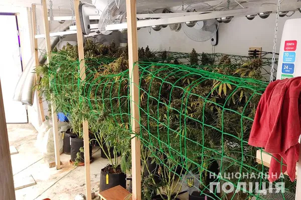 Операція «Мак»: правоохоронці вилучили десятки кілограмів наркотиків (фото, відео)
