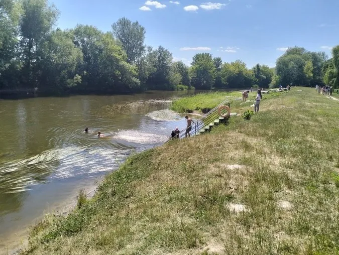 Водорості плутають ноги: в якому стані центральний пляж Луцька (відео)