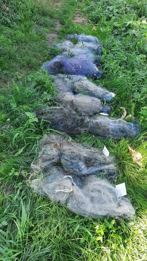 На Турському водосховищі знайшли пів кілометра риболовецьких сіток (фото)