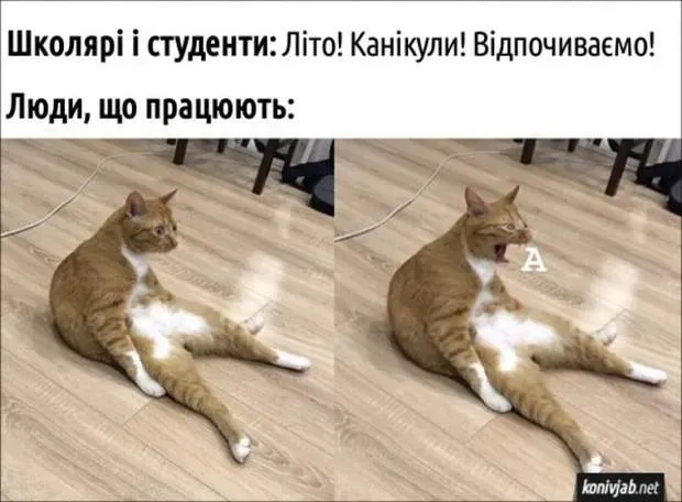 Найсмішніші меми про кінець навчального року