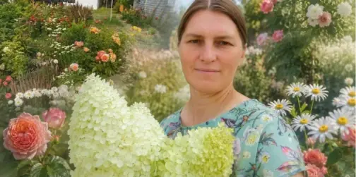 Наче у ботанічному саду: волинянка вирощує сотні видів унікальних троянд та гортензій (фото)