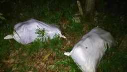 На Волині контрабандист викидав із джипа телячі тушки (фото)