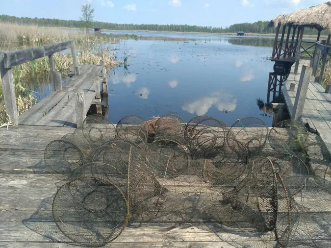 За тиждень рибпатруль наштрафував порушників на понад три тисячі гривень