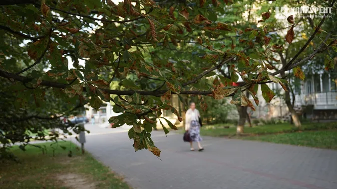 Осінь у Луцьку: ранок на 33-му (фото)