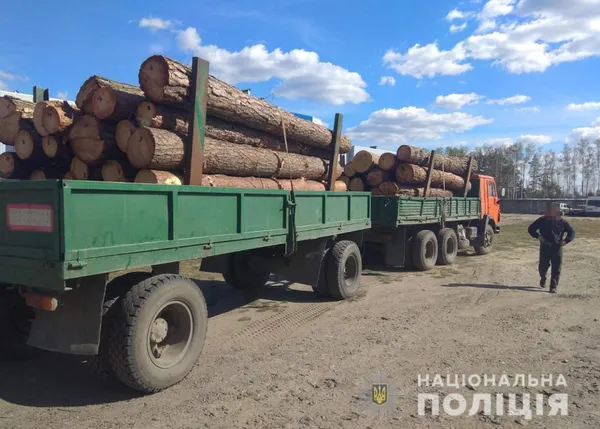 Інша кількість і не той діаметр: на Волині затримали «КамАЗ» із соснами (фото)