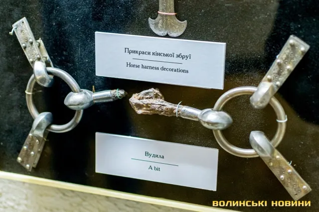 У селі на Волині знайшли  скарб – горщик зі сріблом, якому понад 1500 років (фото)
