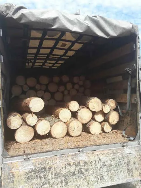 На Волині затримали бус  із «нікому не потрібною» деревиною (фото)