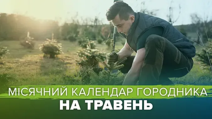 Що і коли саджати на городі в травні, щоб був вдалий врожай