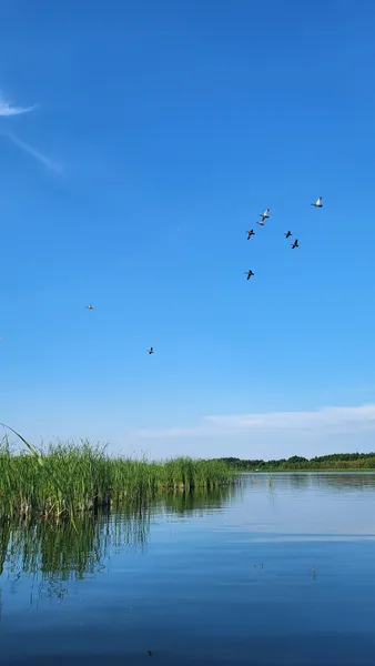 Тиша і спокій: показали райський куточок на Світязі (фото)